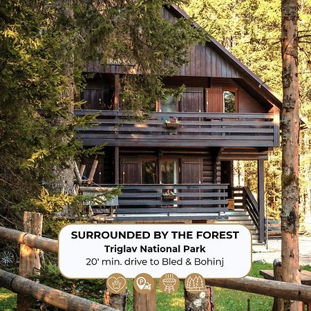 Forest Apartments Pokljuka Zgornje Gorje Dış mekan fotoğraf