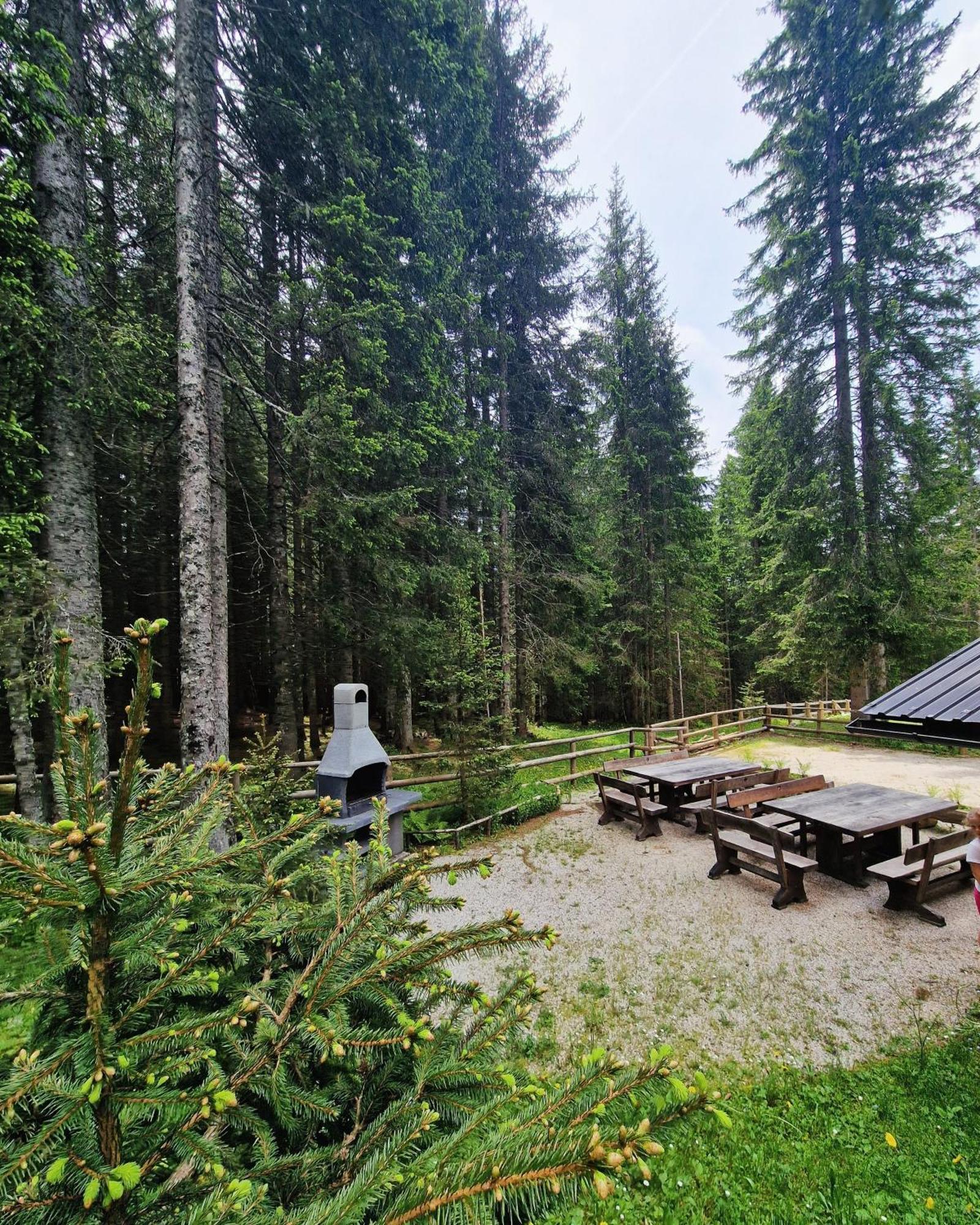 Forest Apartments Pokljuka Zgornje Gorje Dış mekan fotoğraf