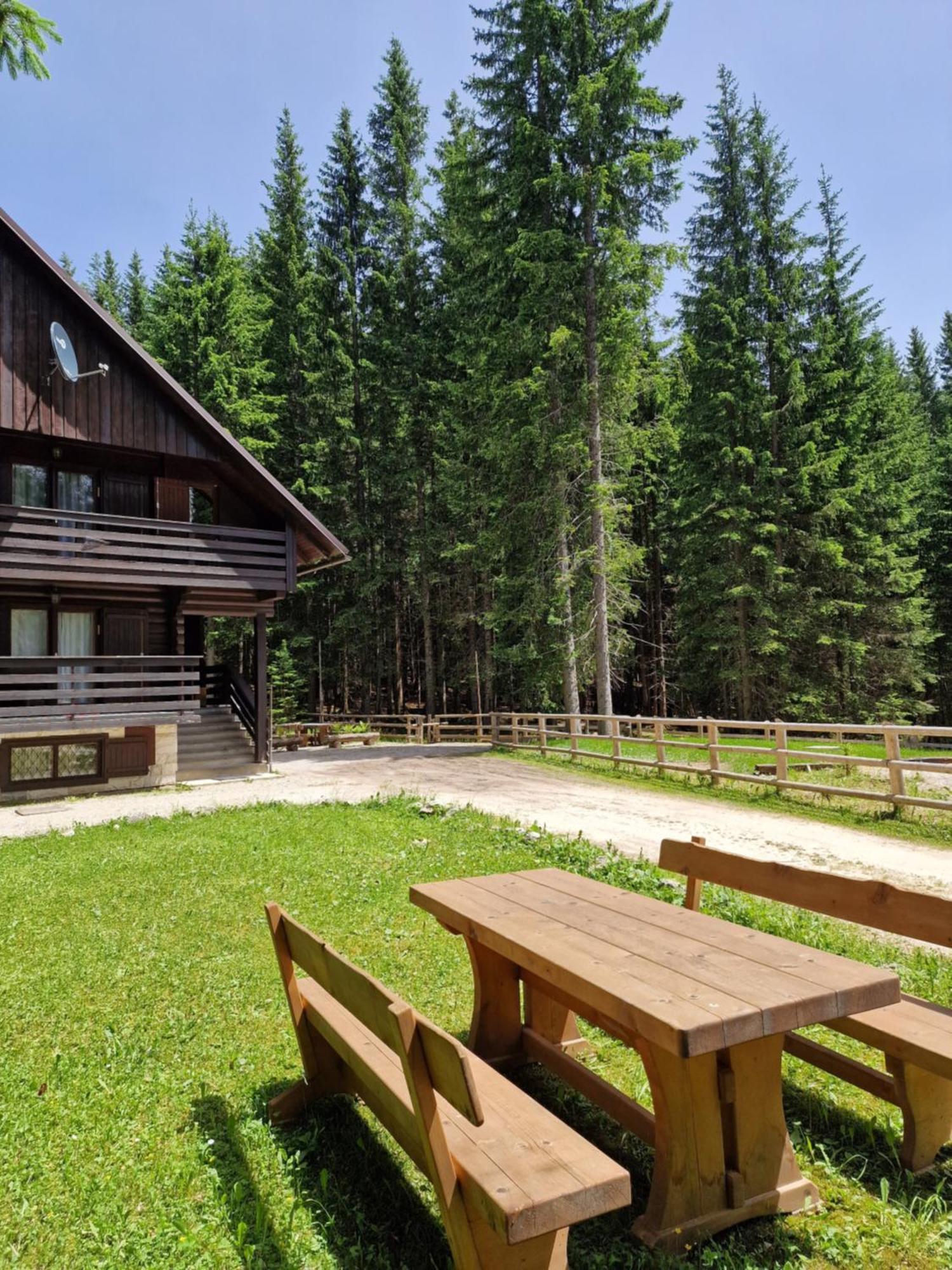 Forest Apartments Pokljuka Zgornje Gorje Dış mekan fotoğraf