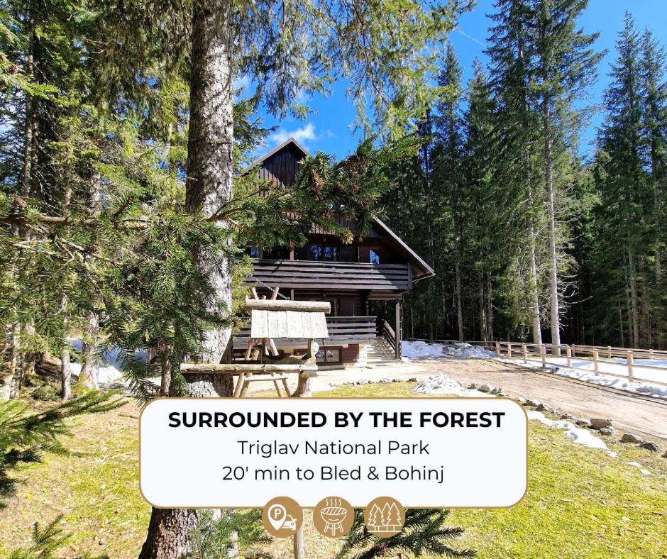 Forest Apartments Pokljuka Zgornje Gorje Dış mekan fotoğraf