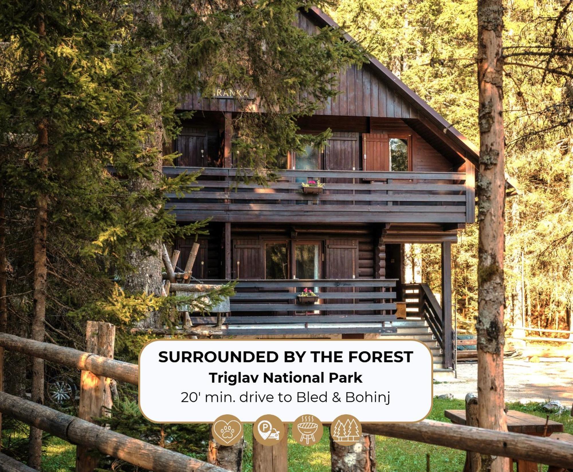 Forest Apartments Pokljuka Zgornje Gorje Dış mekan fotoğraf