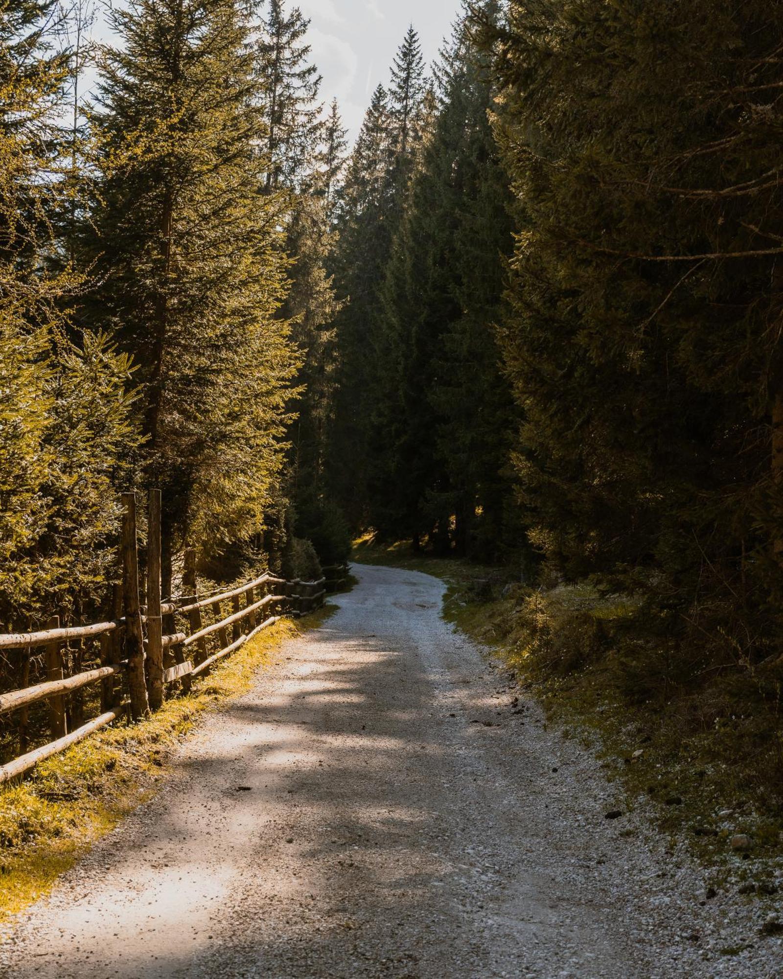 Forest Apartments Pokljuka Zgornje Gorje Dış mekan fotoğraf